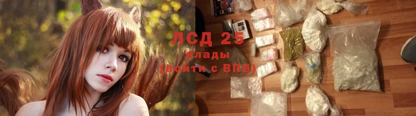 гидропоника Карталы