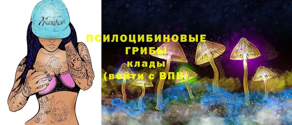 гидропоника Карталы