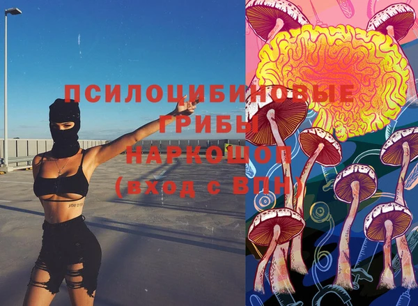 гидропоника Карталы