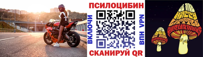 Купить закладки  Донской  Псилоцибиновые грибы мицелий 